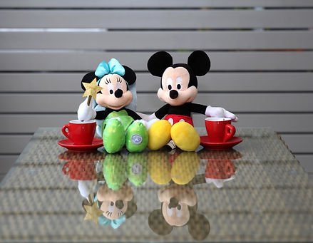 Minnie and Micky Picnic.jpg
