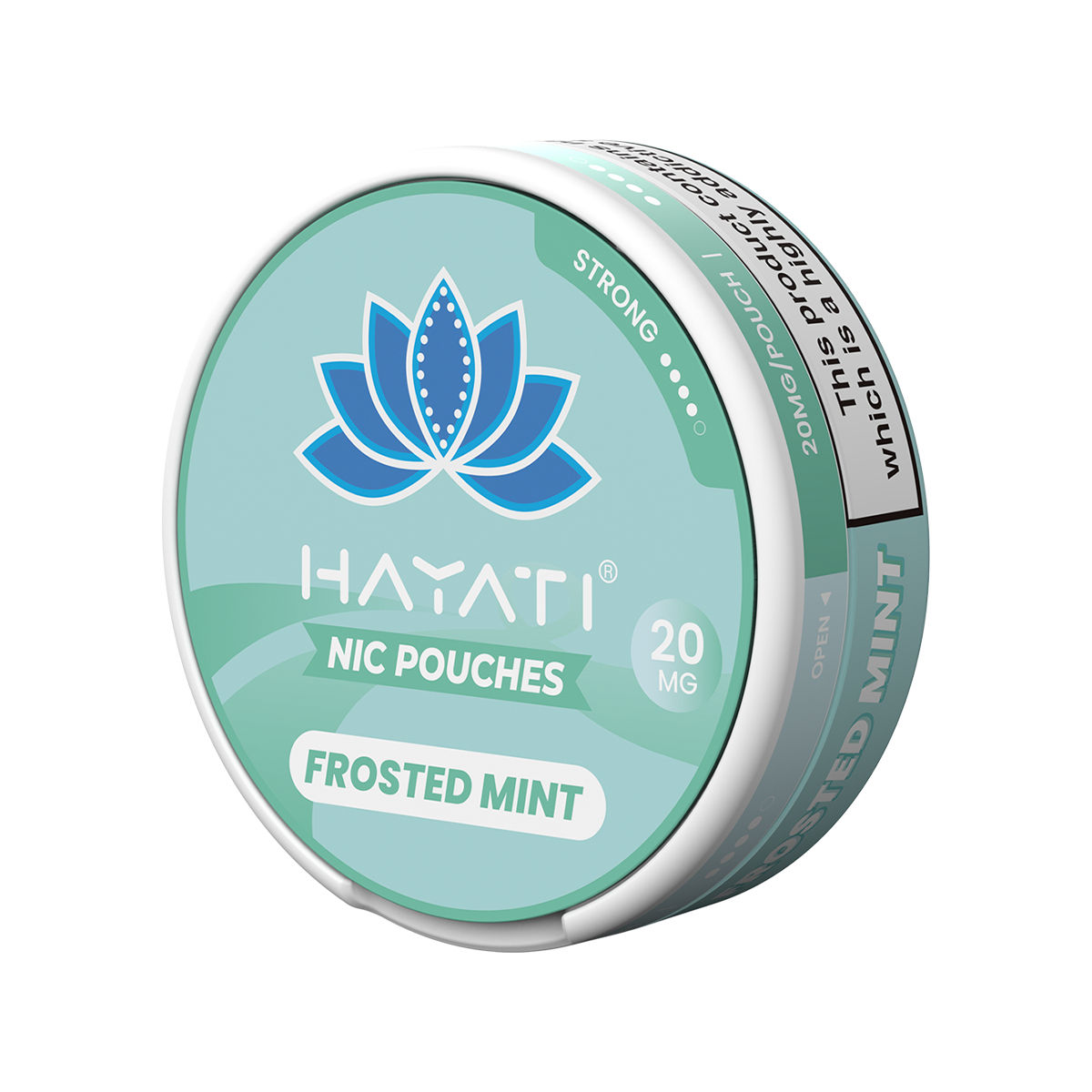 Hayati Pouches Frosted Mint