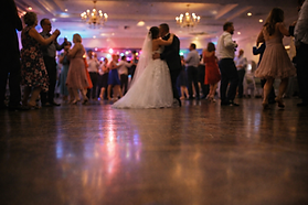 mr.zed wedding videographer