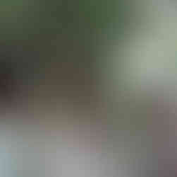 Bridesmaids help adjust the bride’s flowing floral gown beneath a large oak tree, capturing a candid and caring moment.