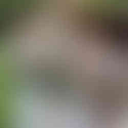 The bride stands with her bridesmaids, all holding vibrant bouquets of wildflowers, smiling together in a meadow setting.