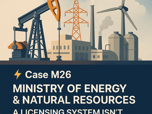 Case M26: Ministry of Energy & Natural Resources – A Licensing System Isn’t an Enterprise Architecture (Extended Diagnostic) 💲
