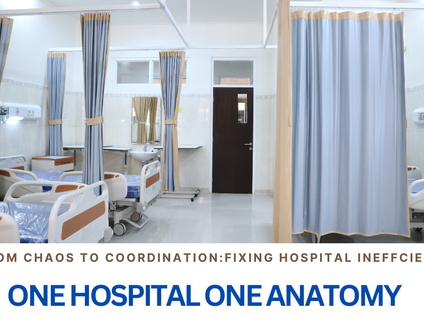 One Hospital, One Anatomy: Transforming Healthcare with the ICMG Enterprise Anatomy Model 💲