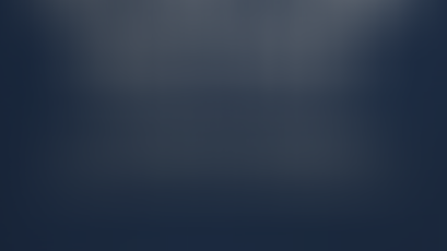 Enterprise Anatomy: It Always Existed, We Just Had to Observe It