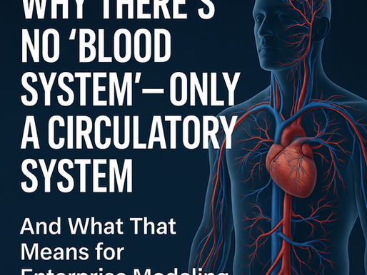 Why There’s No “Blood System” — Only a Circulatory System And What That Means for Enterprise Modeling 💲