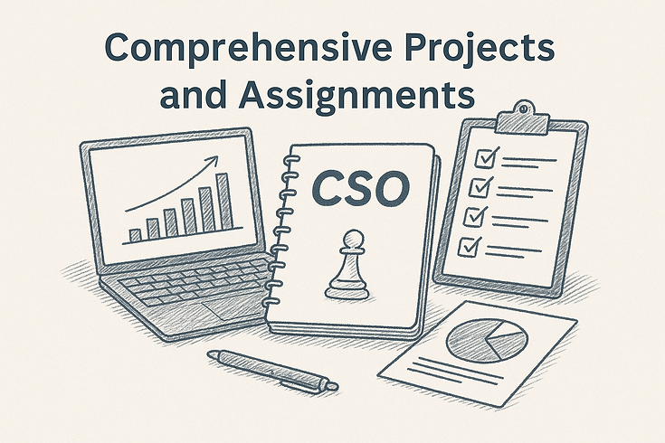 Projects and assignments - CSO.png