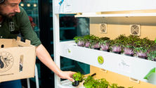 Agritech startup, Farmwall brings the future of food to where we live and work