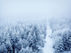 How to Prepare for Winter: The Importance of Professional Snow Plowing