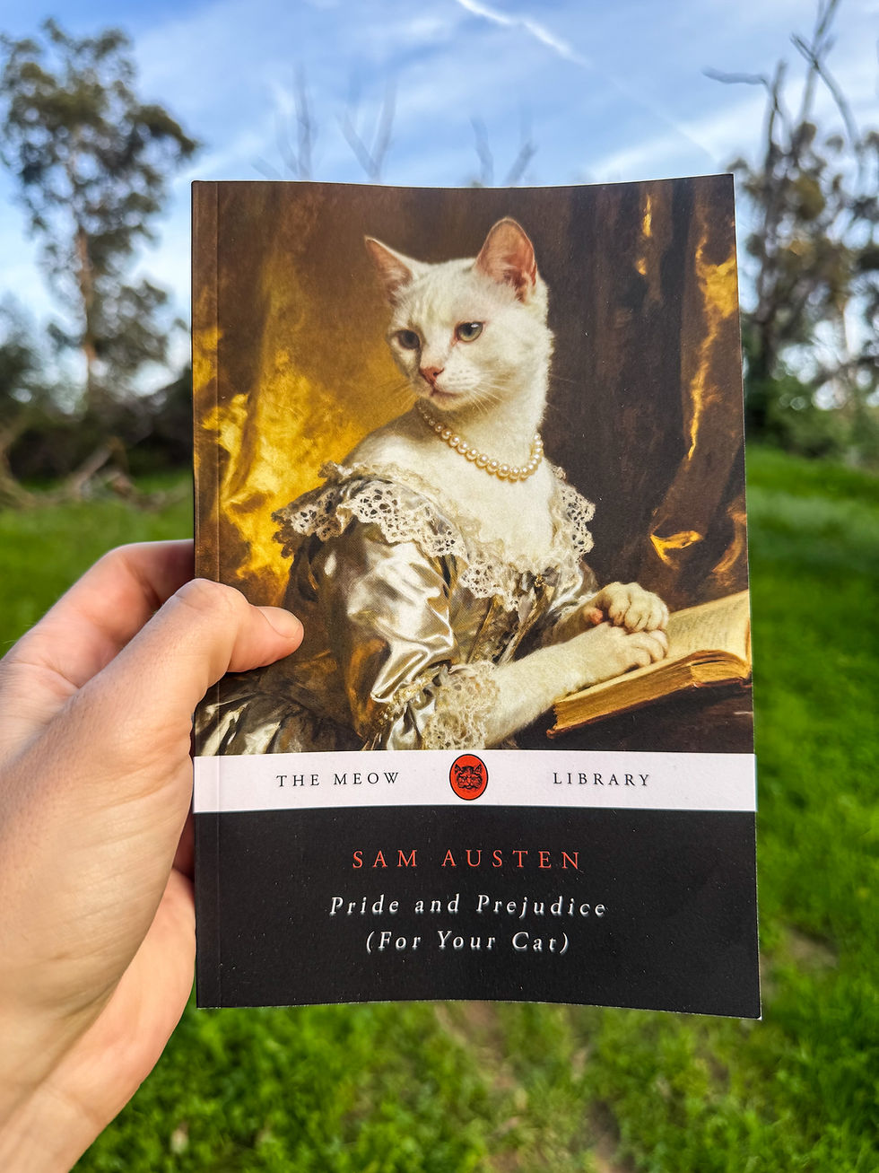 Your Cat Can Finally Read Pride and Prejudice, Thanks to The Meow Library