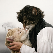 The cast of Emerald Fennel's Wuthering Heights adaptation, but they're cats.
