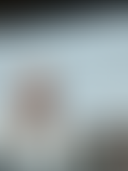 Marc Andreessen and a mischievious cat