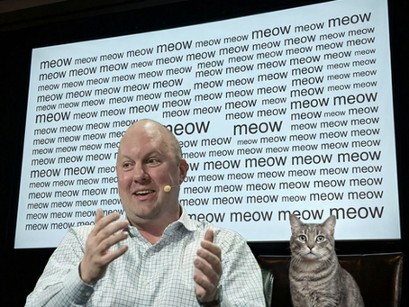 Marc Andreessen and a mischievious cat