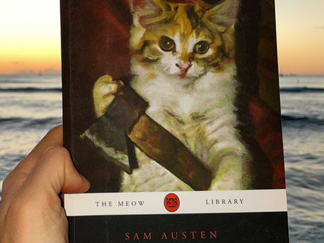 Crime and Punishment (For Your Cat): A Purr-fectly Humorous Gift