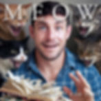 BookTokker Luke Bateman savaged by angry cats who have destroyed his book