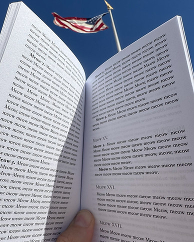 Constitutionpromosmall.jpg
