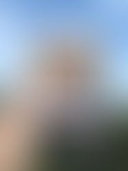 Cover of Wuthering Heights for the Feline Reader by Sam Austen