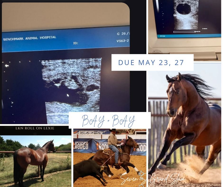 Ultrasound