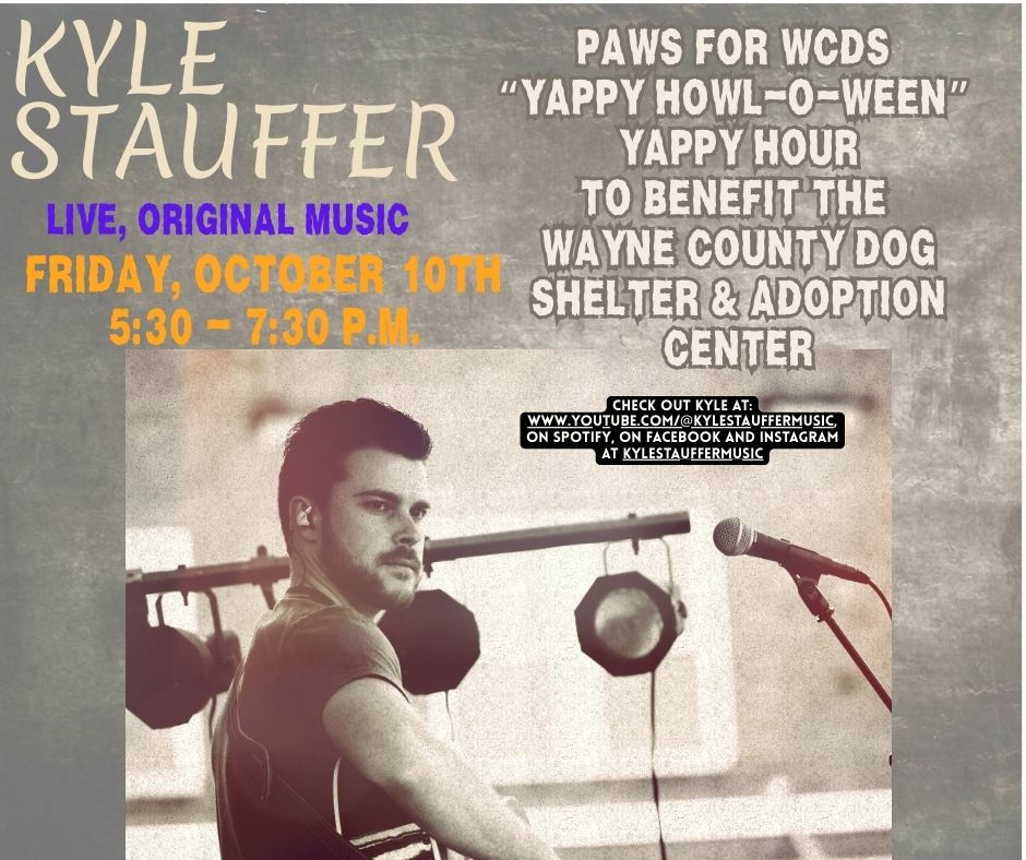 Kyle Stauffer - Live, Original Music 