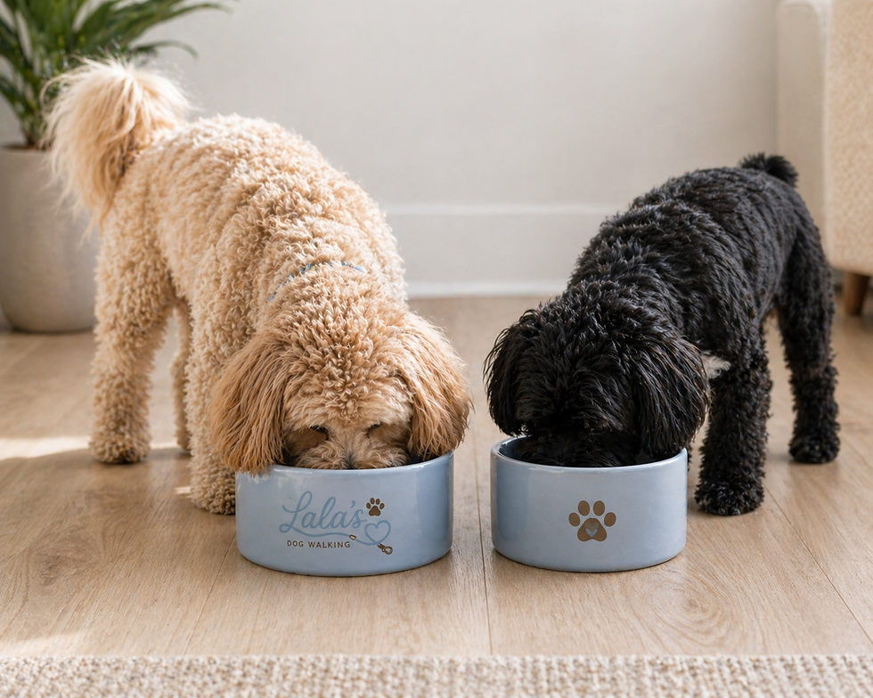 dogs eating.png