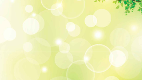 Annual Report 2015