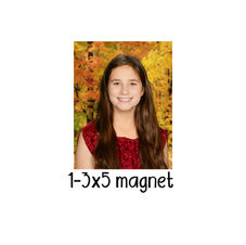 1-magnet.jpg
