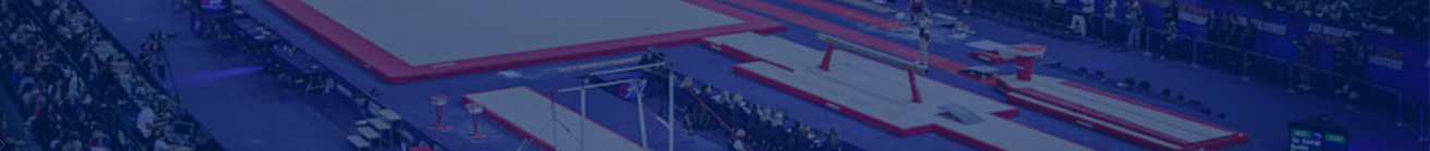 Gymnastics Low Poly Painting (2)_edited_