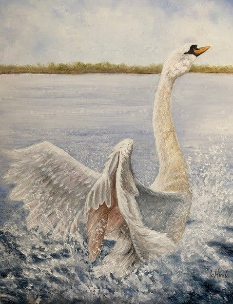 Taking Flight