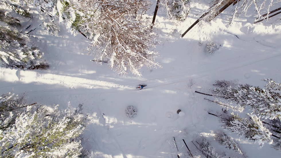 Blackdog Fatbike Rentals 0-16 screenshot.png