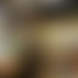 Cibo e Vino: A Bacaro and Gourmet Shop to Discover Local and Italian Specialties