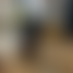 Discovering Quota 101: A Journey Through the Euganean Hills