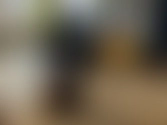 Discovering Quota 101: A Journey Through the Euganean Hills