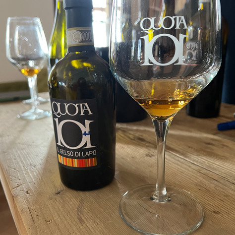 Discovering Quota 101: A Journey Through the Euganean Hills