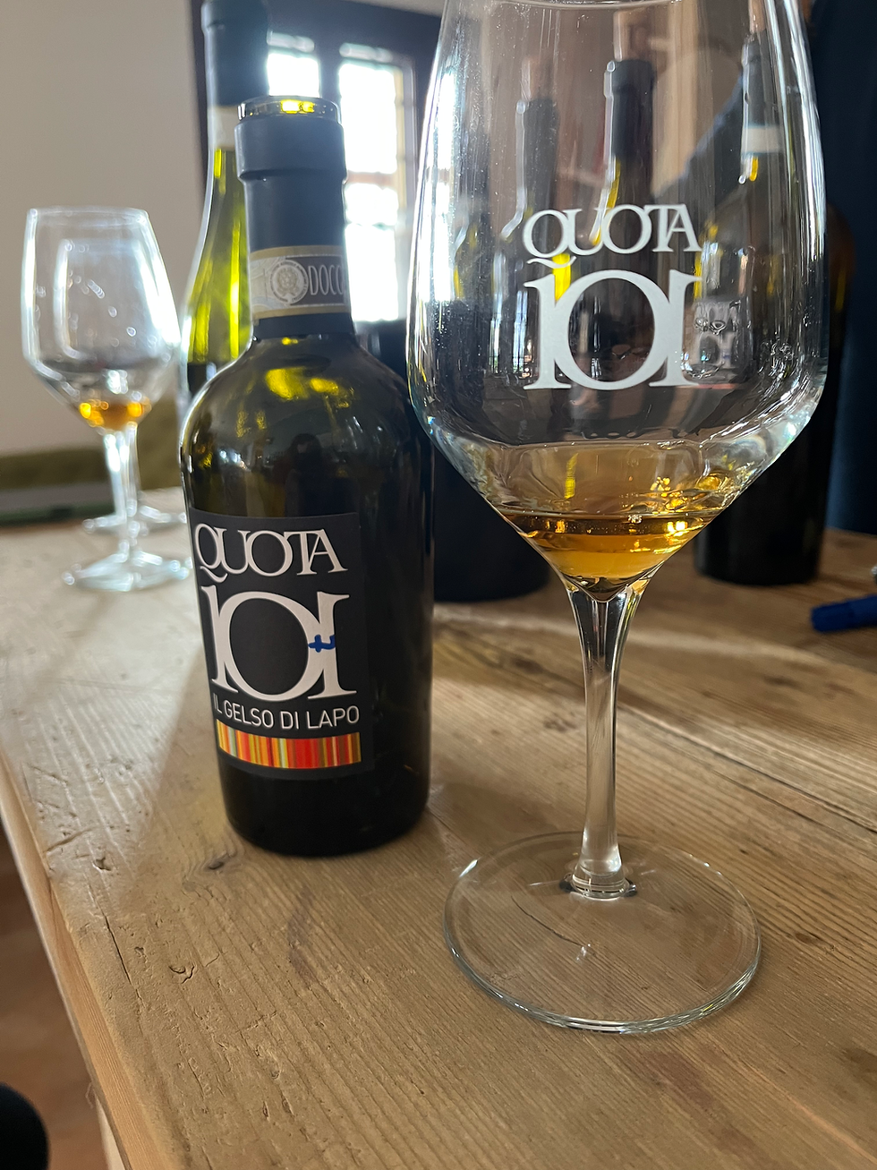 Discovering Quota 101: A Journey Through the Euganean Hills