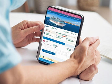 person searching the internt to booking a cruise.jpg