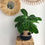 Miniature : Panier pompons en crochet