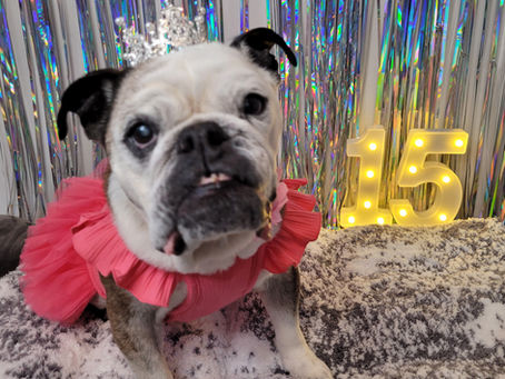 Wanda celebrating her quinceanera