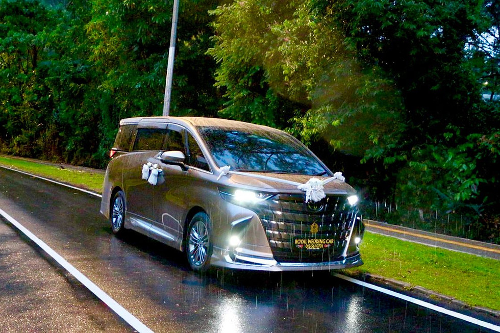 Thumbnail: Alphard Z AGH40 Rose Gold Edition