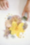 20250513TexasPressedFlowers072.jpg