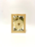5" x 7"