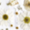 5D13F85D-12EA-4E3C-BDE4-E1904E55B516_edited.jpg