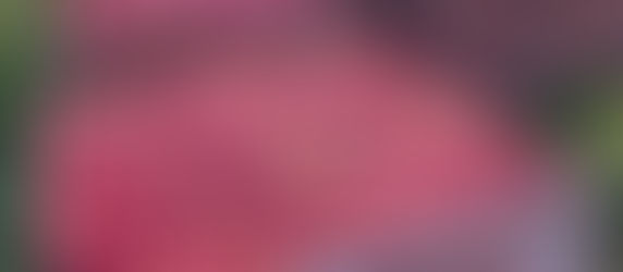 September 2022 – February 2023 Cashmere Catch Up