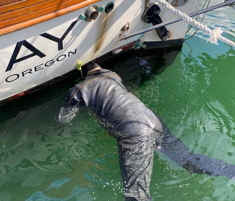 AUGUST 18 – 31, 2022: PORTAGE BAY – PETERSBURG ALASKA