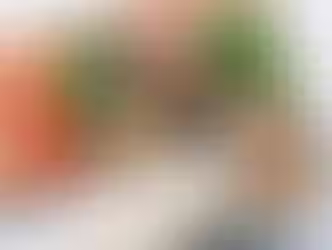 6x vleesvervangers van de toko