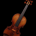 01_violin_flat-960x600_edited_edited_edited.png