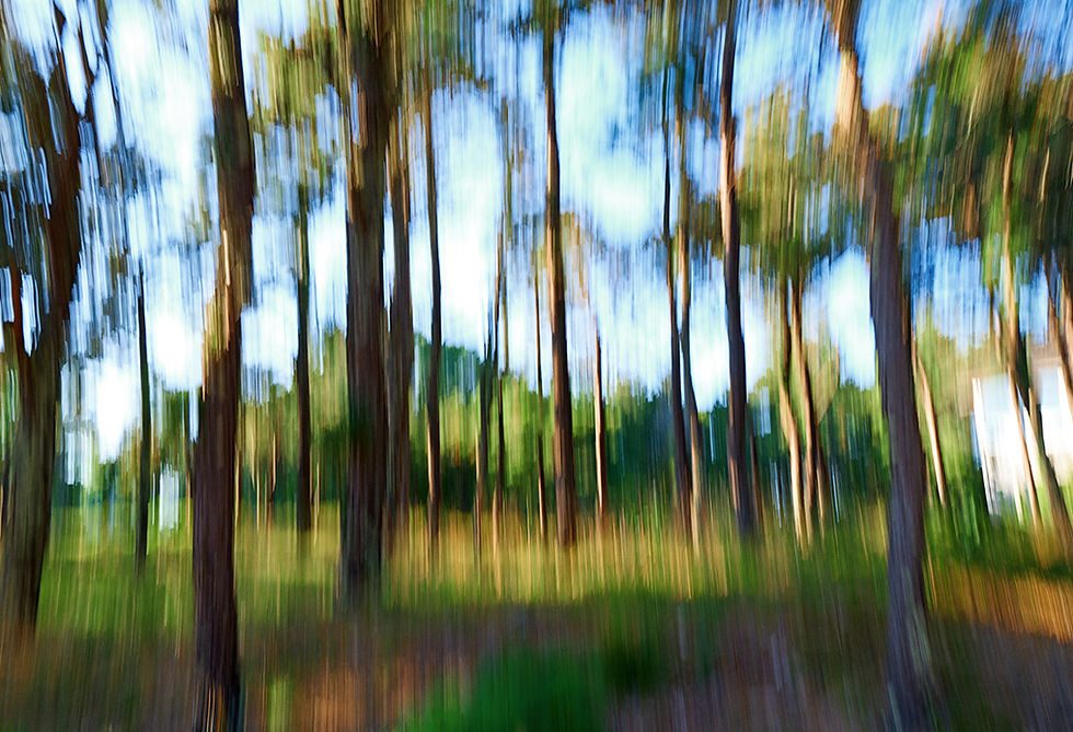 4_ Scrimshaw 2025 2.jpg