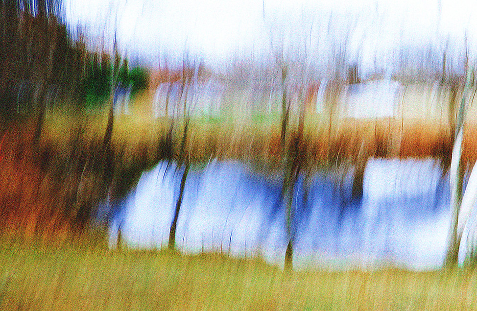 Hornick_Duck Pond trees_cropped.wh_sig_e