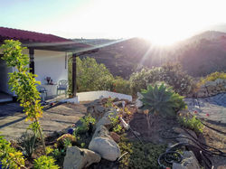 WhatsApp Image 2024-07-31 at 20.11.09