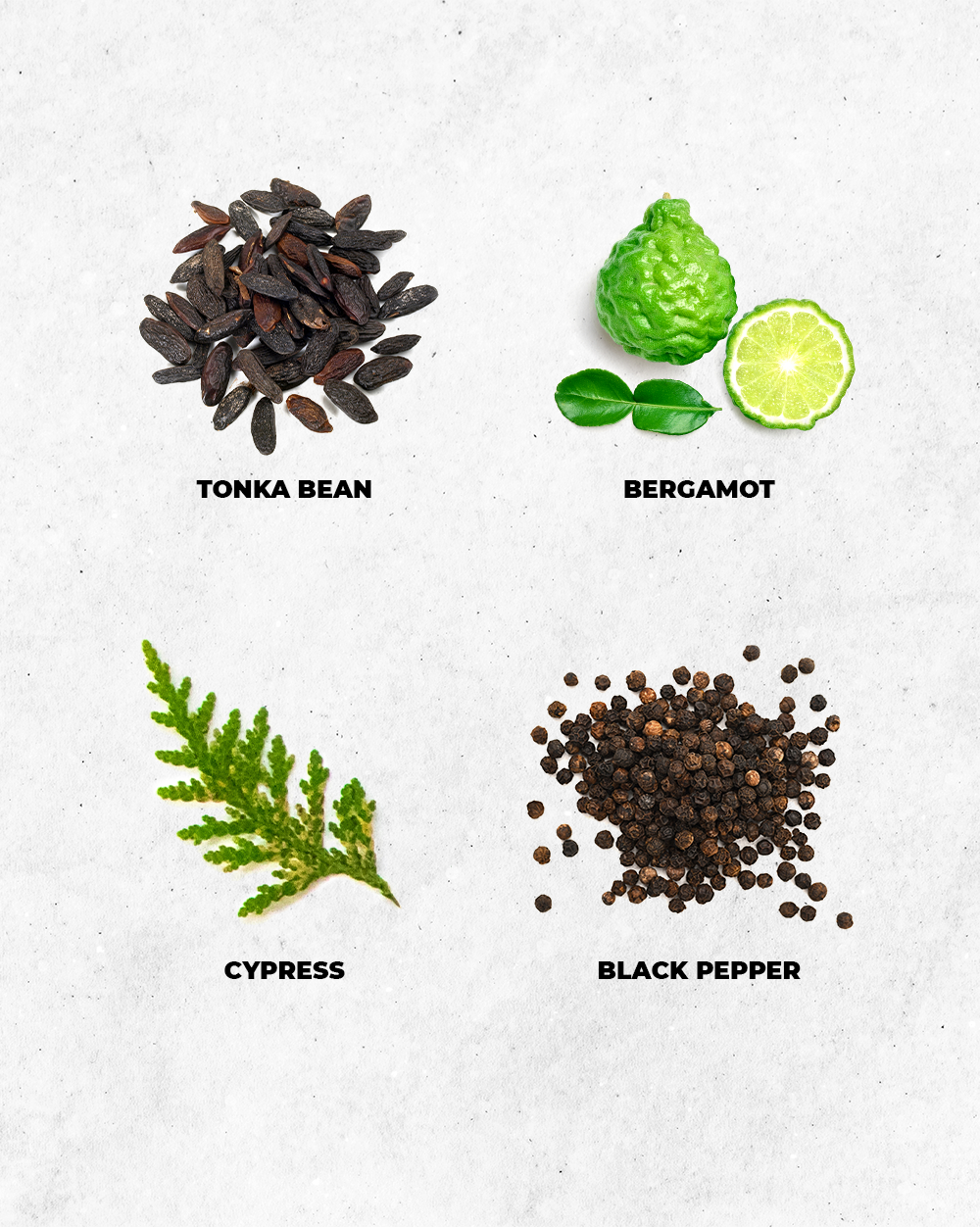 CAFUNE (1).png