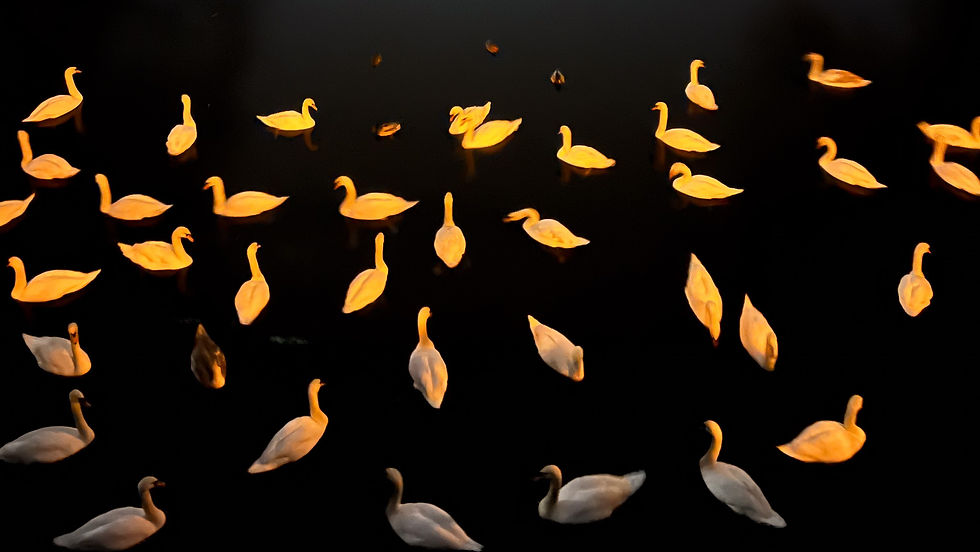 GLEICH EINEM VERSUCH IN DER NACHT 