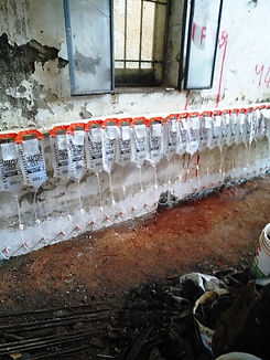 Immagine WhatsApp 2024-08-11 ore 16.38.24_9a8307c2.jpg